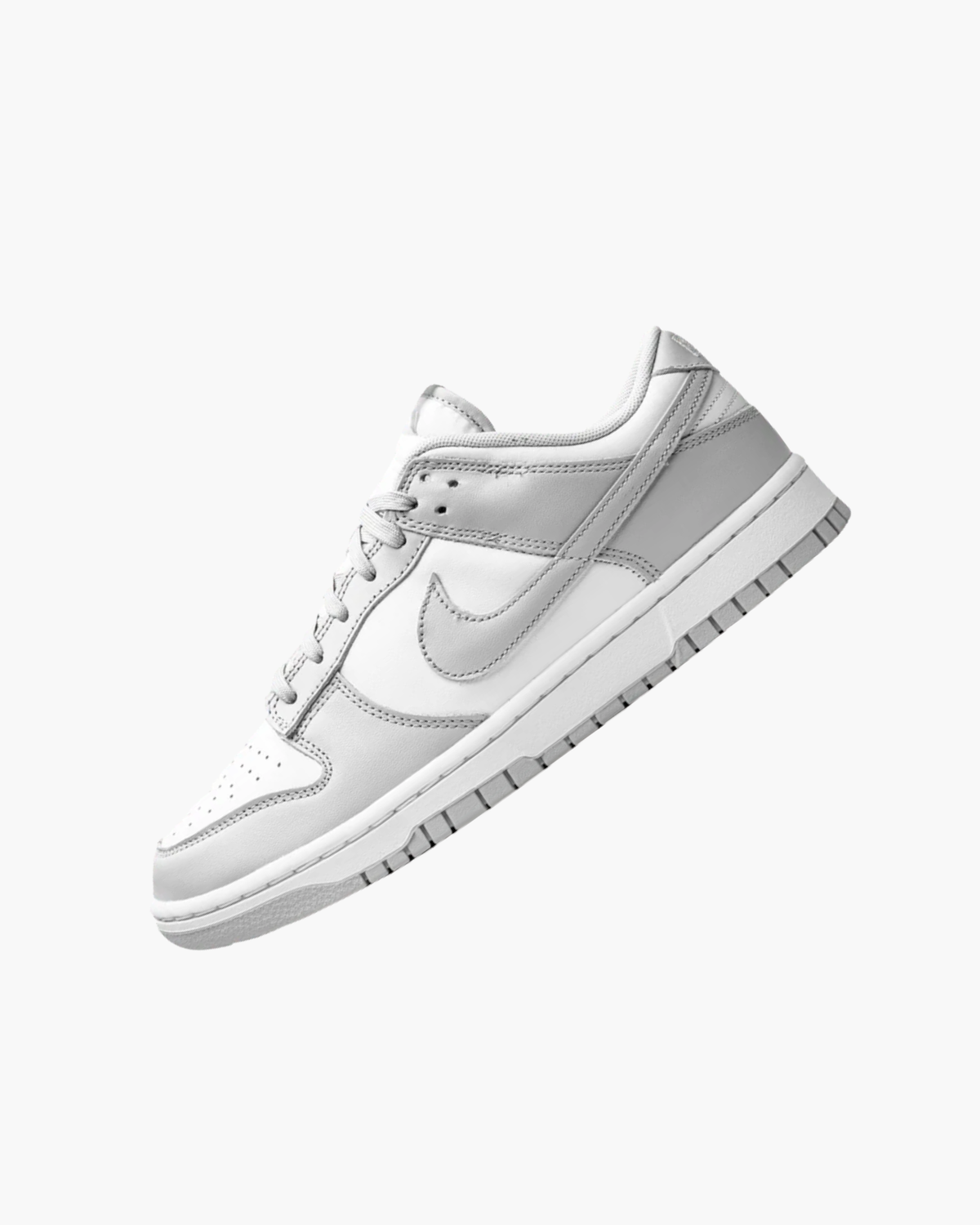 NK DUNK LOW