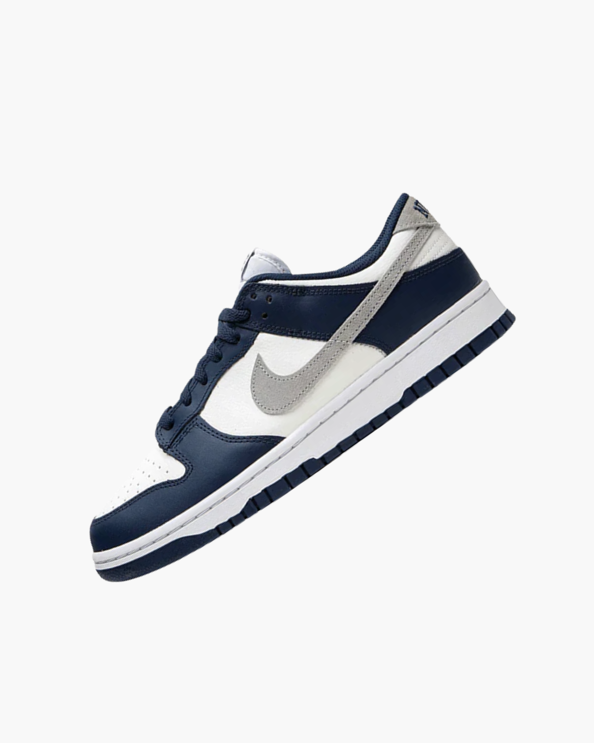 NK DUNK LOW