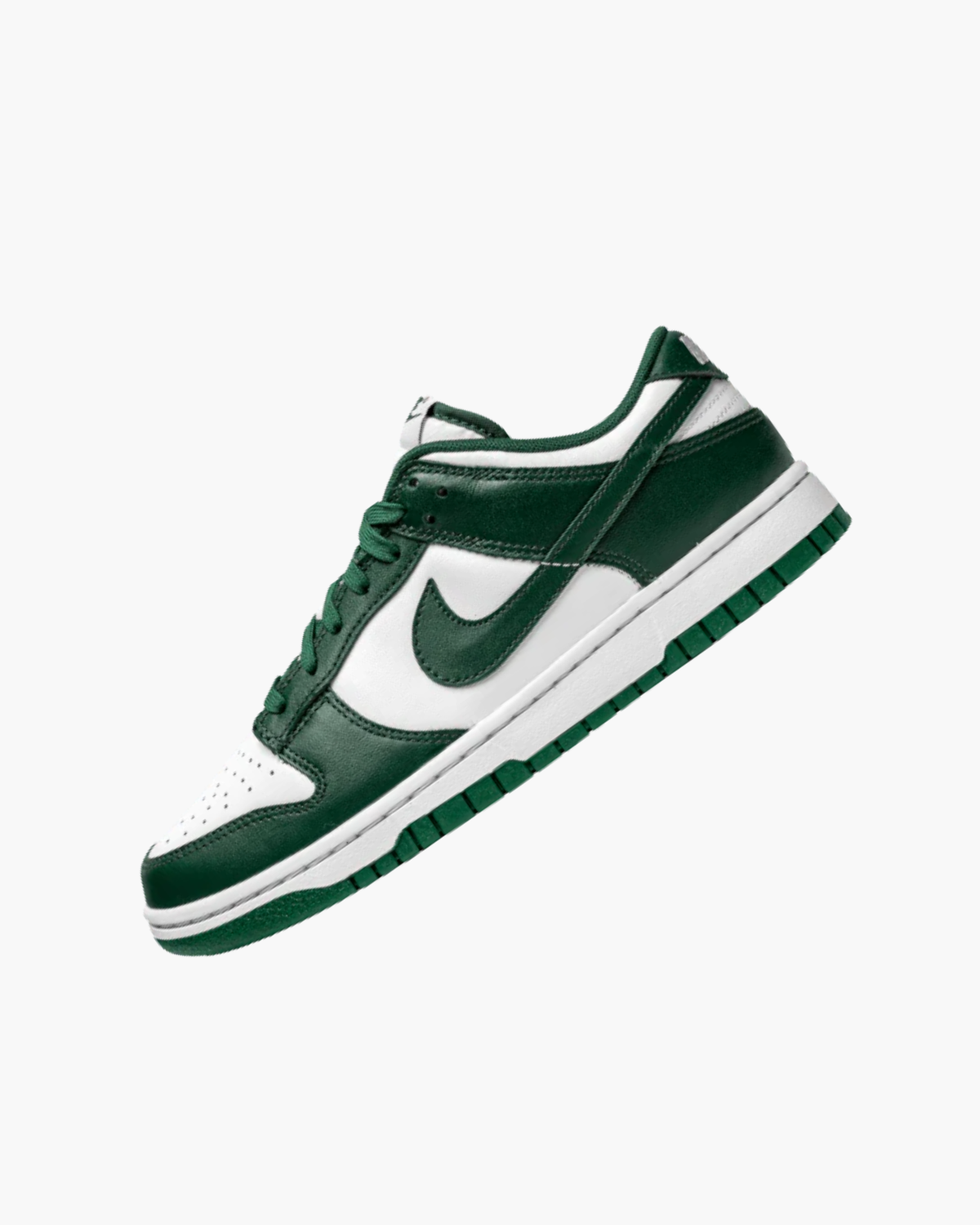 NK DUNK LOW